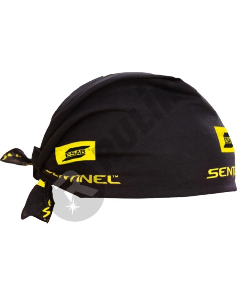 Satek_Sentinel.jpg